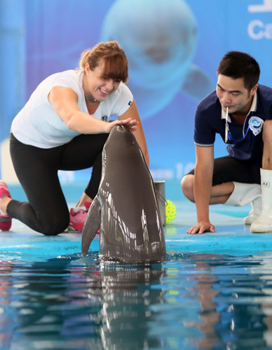 巴黎圣日耳 巴黎圣日耳