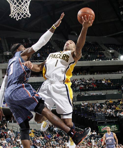 丰富的自然 丰富的自然