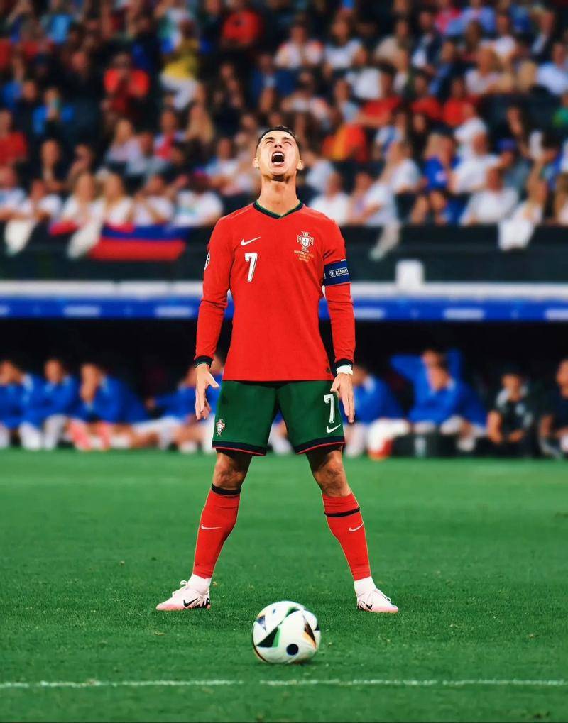 对自己能力 对自己能力