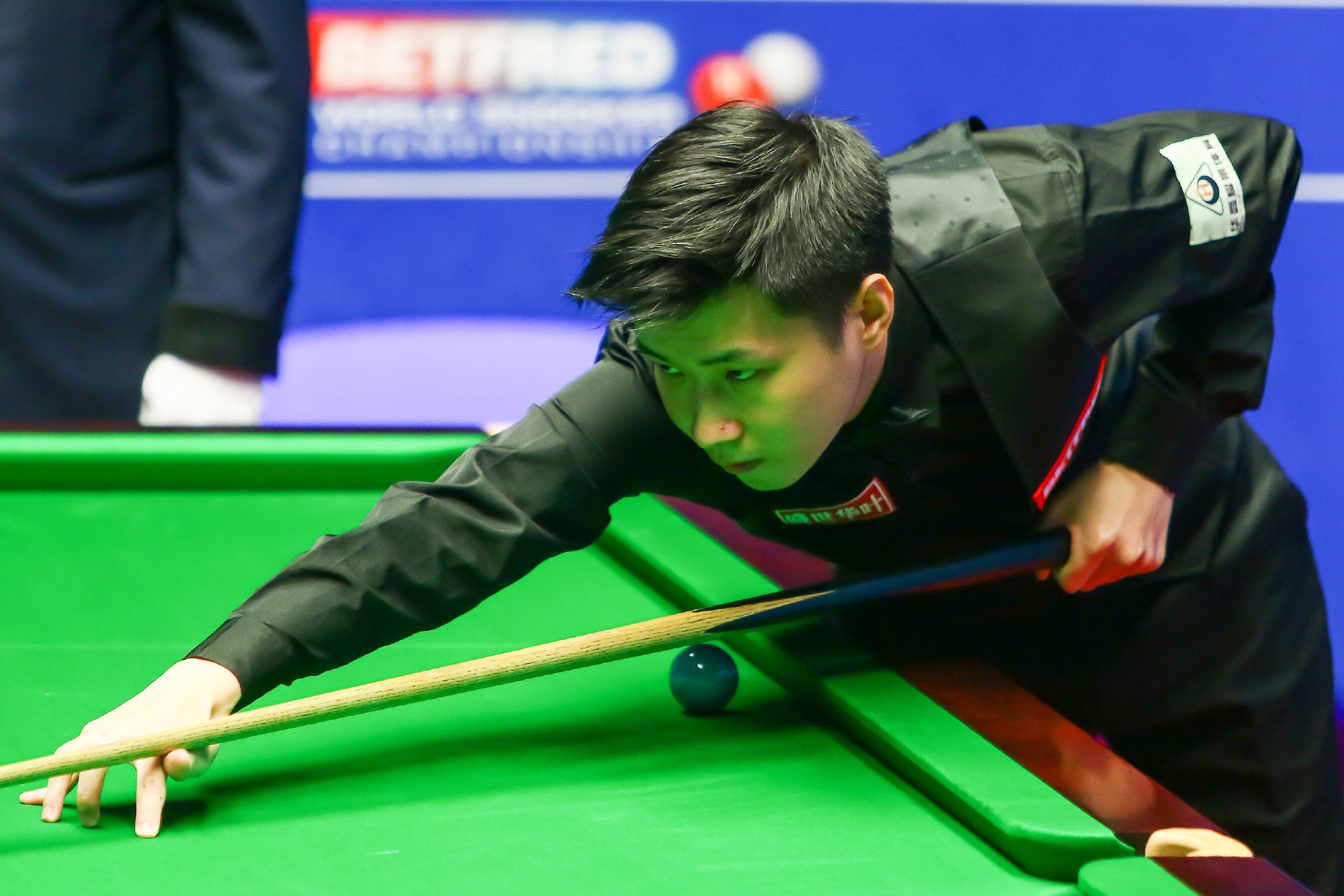 在引入了几 在引入了几